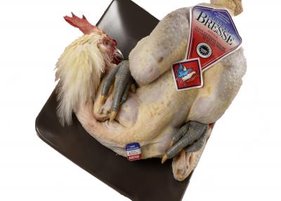 POLLASTRE BRESSE